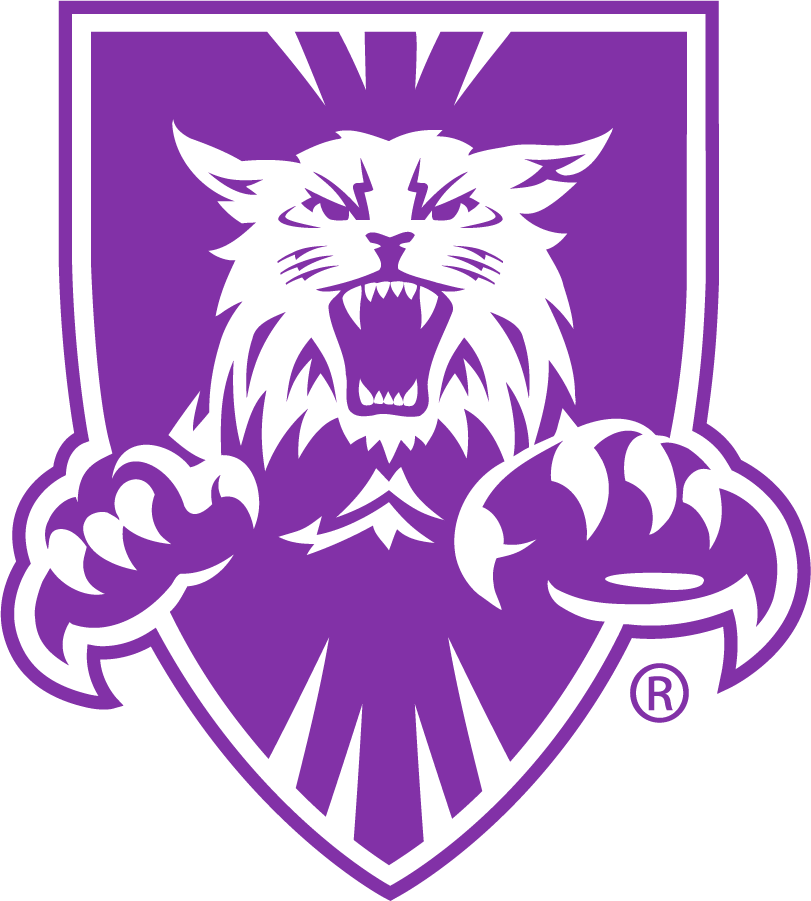 Weber State Wildcats 1996-2012 Alternate Logo v2 iron on transfers for T-shirts